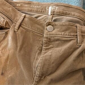 LOFT women’s  Curvy Straight corduroy Tan Pants